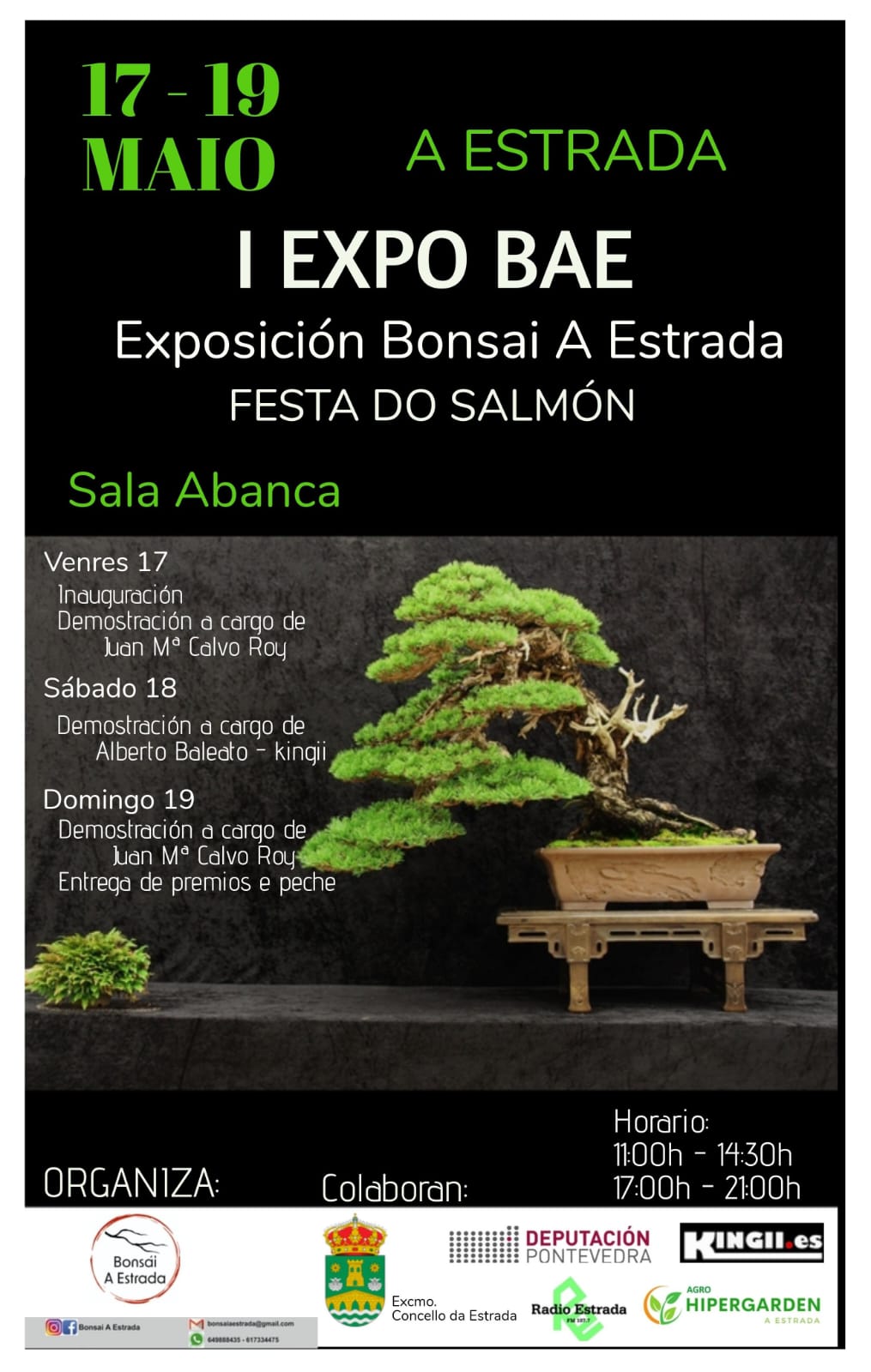 I Expo BAE de Bonsáis durante a Festa do Salmón – 2024