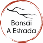 AC Bonsai A Estrada